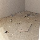 청단 | 부산 입주청소는 청단클린😃