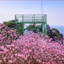 삼형제봉 Daum카페