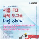 매너독반려견교육센터 이미지