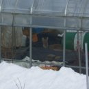 꿈꾸는 농장 이미지