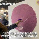 목화물 주식회사 이미지