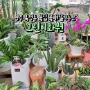 그린비화원