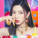 엔트워프 이미지