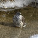 여주-1008 이미지