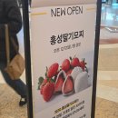 다올팜 | ak플라자 분당 크리스마스 마켓 딸기 페어 팝업스토어 행사 소개