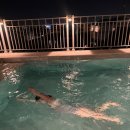 시암아시아 이미지