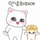 DH웰리스 이미지