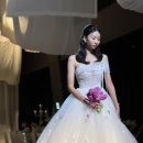 엑스포로(유성-62) 이미지