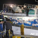 동해-단속-39 이미지