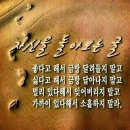 잘있었나요내인생 이미지