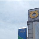 네츄럴100허니카페