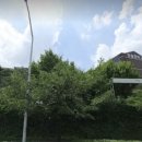 청솔중학교 이미지