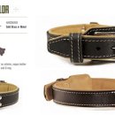 명품애견 이미지