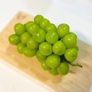 김천시포도수출유통영농조합법인 | 당도높은 샤인머스켓 배송받자마자 해치운 솔직후기