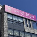 똥싼바지입은고양이 | 천안 신정호 카페 추천 드레스 입은 고양이 _ 유기묘 입양 카페, 아산 아이와 놀만한 코스
