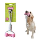 덴탈투유 이미지