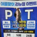 올고핏