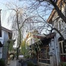 기차마을전통시장(명품관옆) | 중국 리장 시내여행 1일, 2일 코스 + 맛집 정리 + 리장기차역 후기