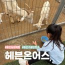 평화농장 | 용인가볼만한곳 즐거웠던 헤븐온어스 동물체험농장 후기