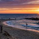 동서남해식당 | 서해·동해·남해·제주, 해안가 마을을 고르는 여행자 기준표