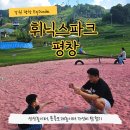 평창이야기 | 휘닉스파크 평창 식당맛집 상상놀이터 숙박후기