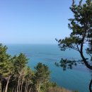 부산해물탕멸치회 이미지