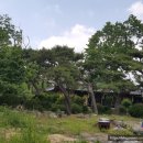 교수댁 민박 이미지