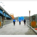 낙동강 유채단지 이미지