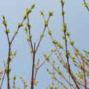 소소리농장 이미지