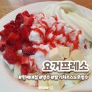 요거프레소한세대점