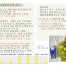 황의 미생물 발효 및 식물 흡수- 황함유 기능성 농산물 생산 원리 이미지