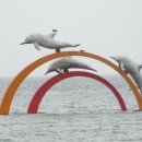 기산비치타운 이미지