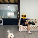 멍멍플레이스펜션 이미지