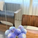 연세더블유의원 | 검사부터 인공수정(IUI) 1차까지, 그리고 IVF 준비 과정 정리 | 연세더블유 산부인과 서초점 난임클리닉