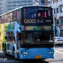 G6003 이미지