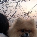 찬*이* 이미지