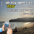 구산오토바이 | 대만 가오슝 여행 가볼만한 곳 추천! '치진섬' 가는 방법 A부터 Z까지 총정리