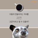 커피탄생