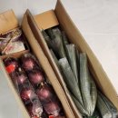 파인트리비 이미지