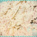 에이라인치과병원 이미지