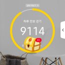 [기쁨의 시간] 발로소득(발테크) 적립 시간 9:00pm