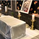 러브펫 반려동물장례식장 이미지