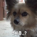 부장목장 이미지