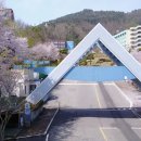 순천제일대학교 이미지