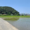 당북리농로 Daum카페