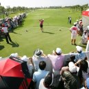 Jeff's Golf(584) | 아마타 스프링 C.C : Amata Spring Country Club (Private club) - 태국골프장 (아마따스프링CC)