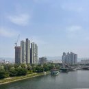다리건너첫집 | 당일치기 여행의 한페이지를 장식할 공지천산책로속 사이로248 출렁다리를 건너다.