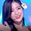 팡팡노래뱅크