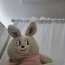 신정역 블랙808 왁싱에서 인생 첫 왁싱 도전기