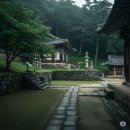 정약용 / 목민심서 / 나라걱정 /현실정치 / 백년사정약용 /다산의지혜 /지금여기우리의정치 /시대를초월...